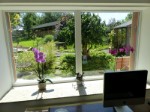 Blick aus dem Wohnzimmer Blick aus dem Wohnzimmer